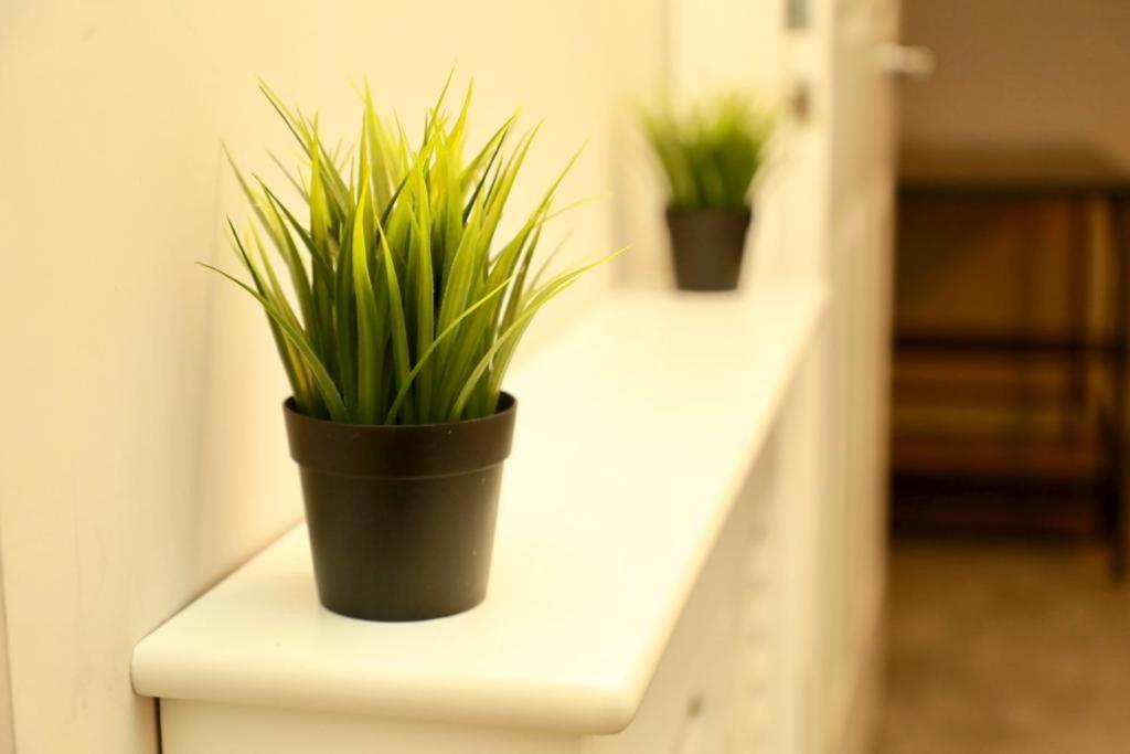 Lovely 2- Bedroom Apartment In ベルファスト エクステリア 写真